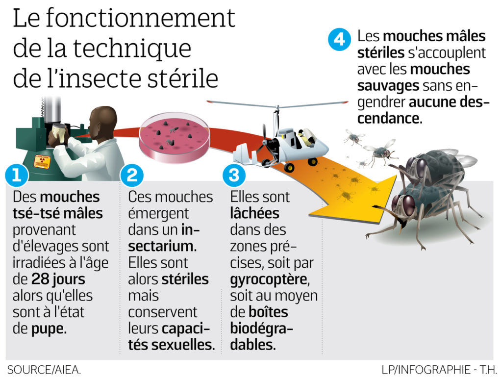 technique de l'insecte stérile