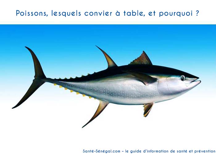 Poissons,-lesquels-convier-à-table,-et-pourquoi