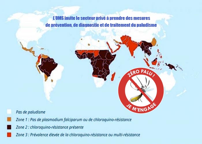 L’OMS invite à prendre des mesures de prévention, et de traitement du paludisme