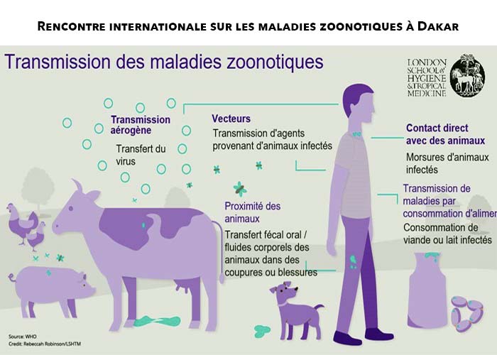 Rencontre-internationale-sur-les-maladies-zoonotiques-à-Dakar