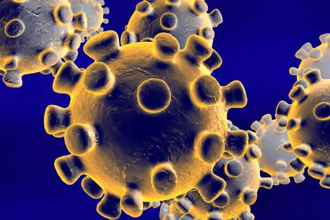 coronavirus