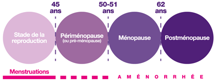 menopause-schema