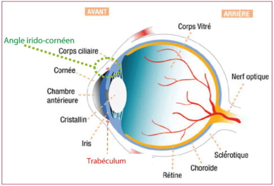 Hypertension oculaire-sante-senegal